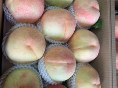 -南汇新场正宗水蜜桃采摘