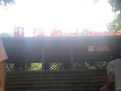 -胡里山炮台