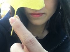 -三里屯东五街银杏大道