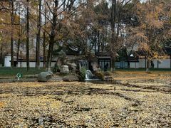 -温江公园