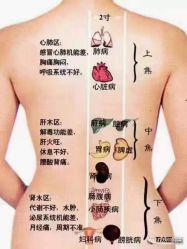 点击看大图 -香薇妮丝女子减肥院
