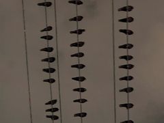 -万达广场(太原街店)