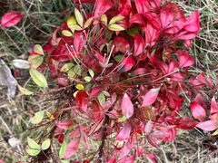 -千龙湖生态旅游度假区