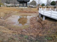 -龙寺生态园