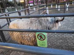 -长白岛森林公园