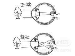 -永旺梦乐城国际商城(北清路店)