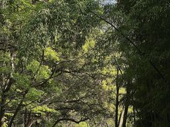 -杭州植物园