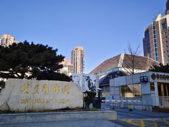 -炎黄艺术馆