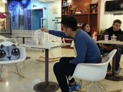 android_upload_pic-萌喵宠狗爱心宠咖