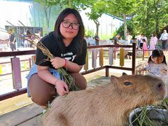 -西霞口神雕山野生动物世界