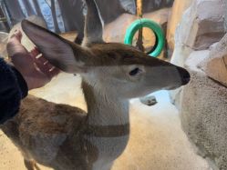 -酷嗒动物文化乐园(cutezoo西溪乐天城店)