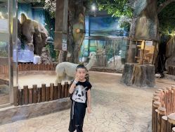 -宝燕乐园(闵行旗舰店)