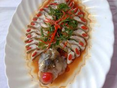 -大班家政月嫂育儿嫂(深圳NO.1店)