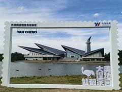 -盐城丹顶鹤湿地生态旅游区