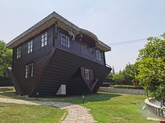 -金山农民画村-枫泾波兰倒置屋
