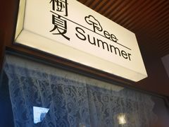 -树夏Tree Summer