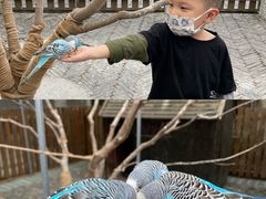 -太阳岛度假酒店