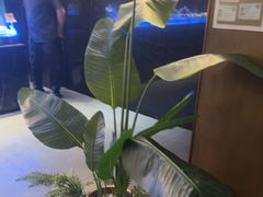 -百富源·海鲜辽菜(和平北大街店)