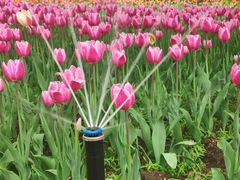 -长春公园(普阳街道)