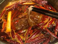 -蜀九香火锅(九眼桥店)