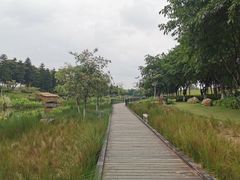 -映月湖公园