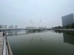 -映月湖中央公园