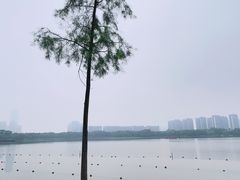 -顺峰山公园