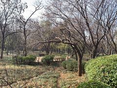 -千佛山风景名胜区