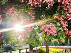 -娜娜家•Nana’Garden (福州道店)
