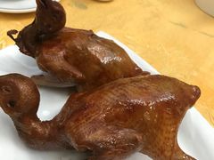 -五谷芳乳鸽王（大梅沙总店C区）(网红打卡店)