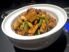 -三强鸽子(中原路店)