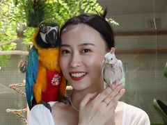 -吉丁鸟咖·异宠·寄养