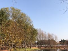 -贡湖湾湿地公园