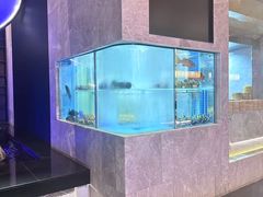 -海派悦庭·海胆烧麦·新融合菜(凯德广场店)