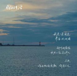 -玛莲朵·海菲秀冰珀科