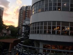 -同济大排档