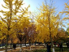 -东北大学(南湖校区)