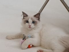 -猫遇摄影工作室