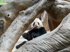 -常州淹城野生动物世界