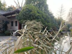 -武汉园博园(武汉自然博物馆)