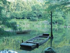 -深圳仙湖植物园
