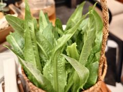 -太琼糟粕醋火锅·海南老爸茶(海棠湾臻选店)