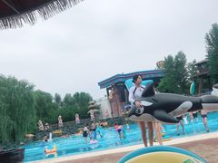 -热高乐园