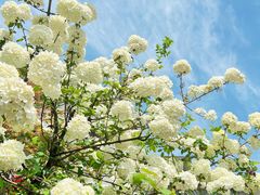 -桤木河湿地公园