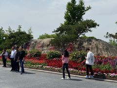 -荷兰花海