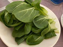 油菜-鑫龙火锅城(青岛分店)