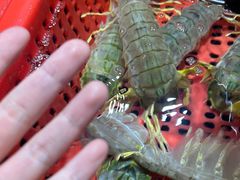 -79号渔船海鲜饭店(龙岗店)