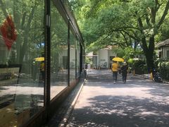 -凤凰御元艺术基地