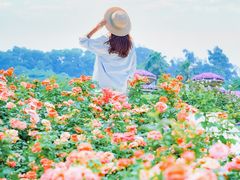 -点都德(广州白云山景区南门店)