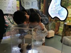 -陕西自然博物馆